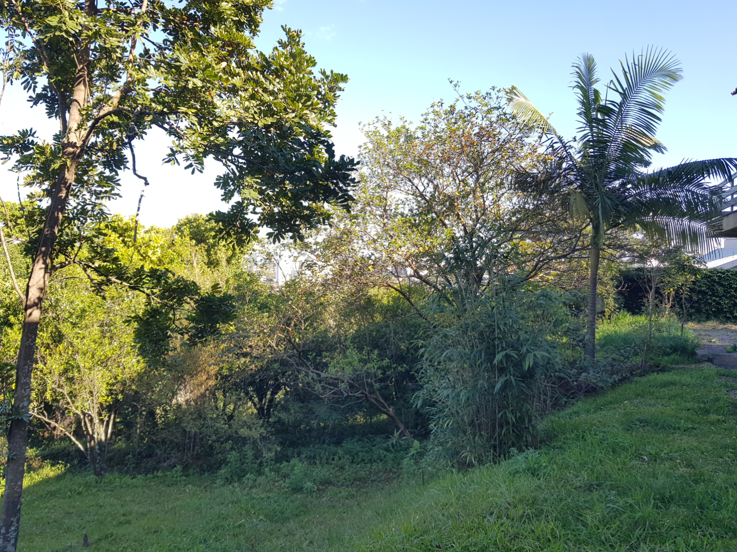 imóvel