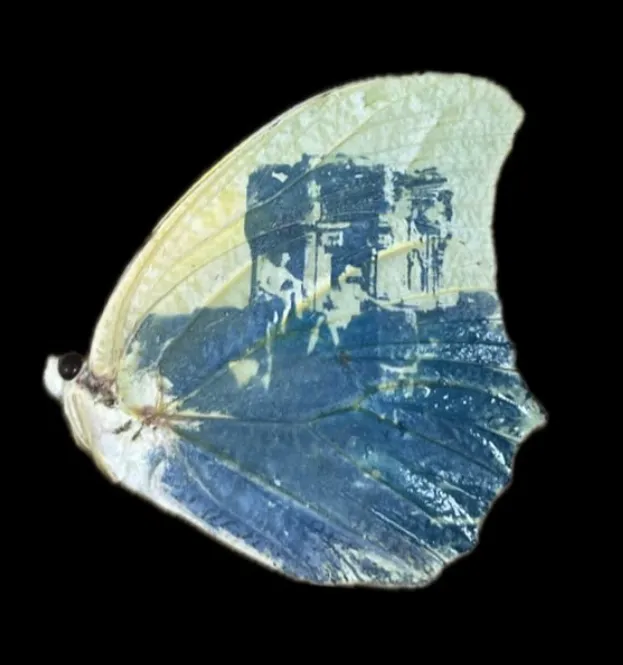 slide image 1