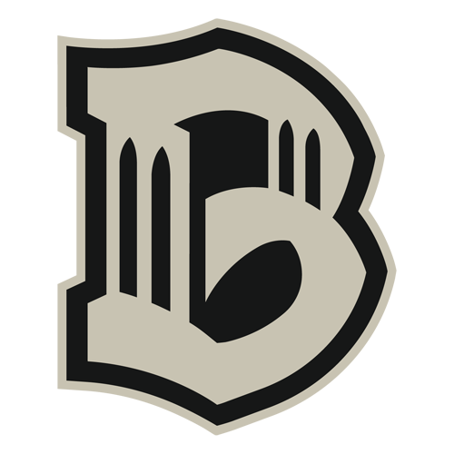 Brooklyn FC logo