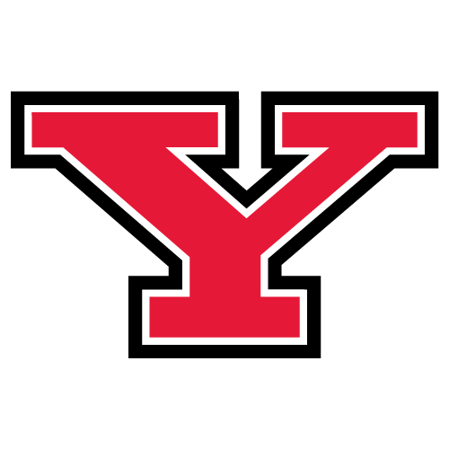 Youngstown State Penguins logo