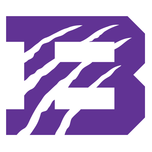 Bethel (TN) Wildcats logo