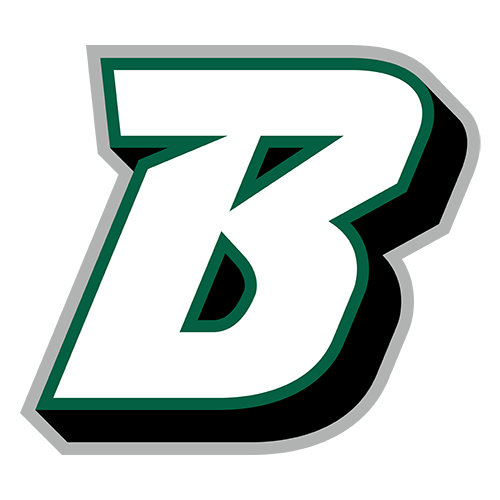 Binghamton logo