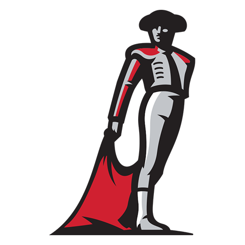 Cal State Northridge logo