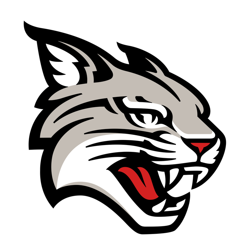 Davidson Wildcats logo