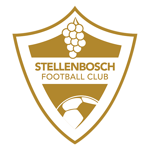 Stellenbosch logo