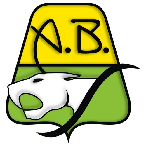 Atlético Bucaramanga logo