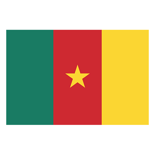 Cameroon logo