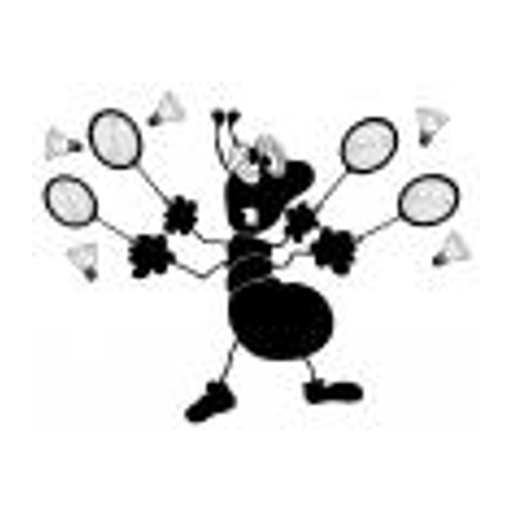 Club De Badminton Villeneuvois