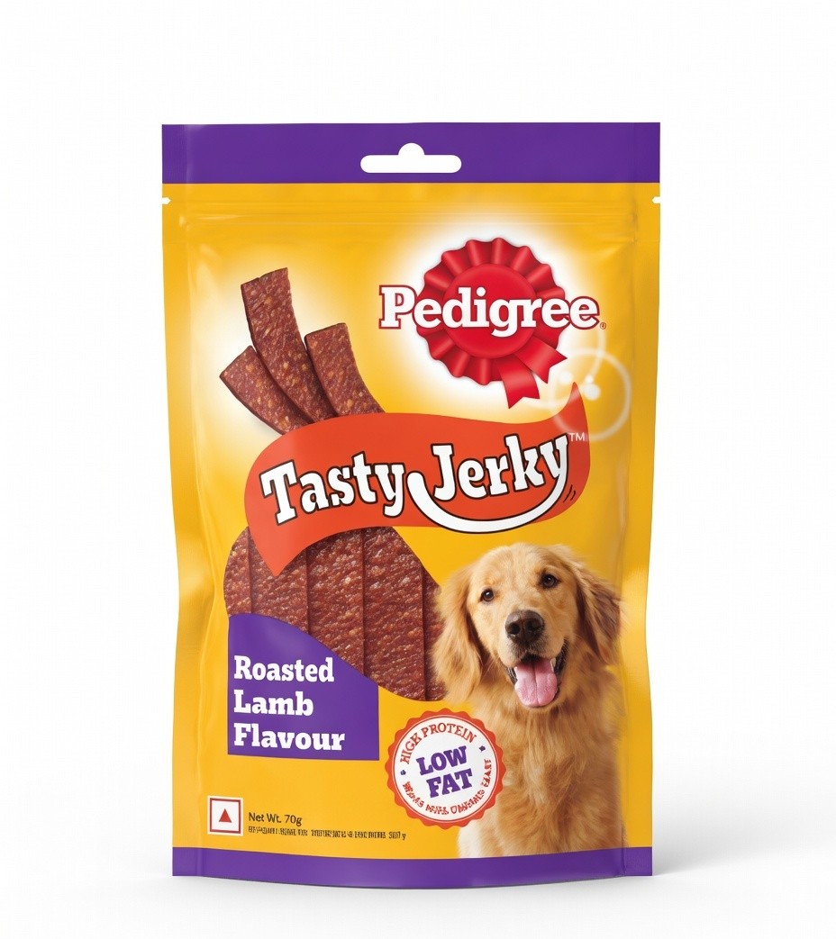 TASTY JERKY 70GM