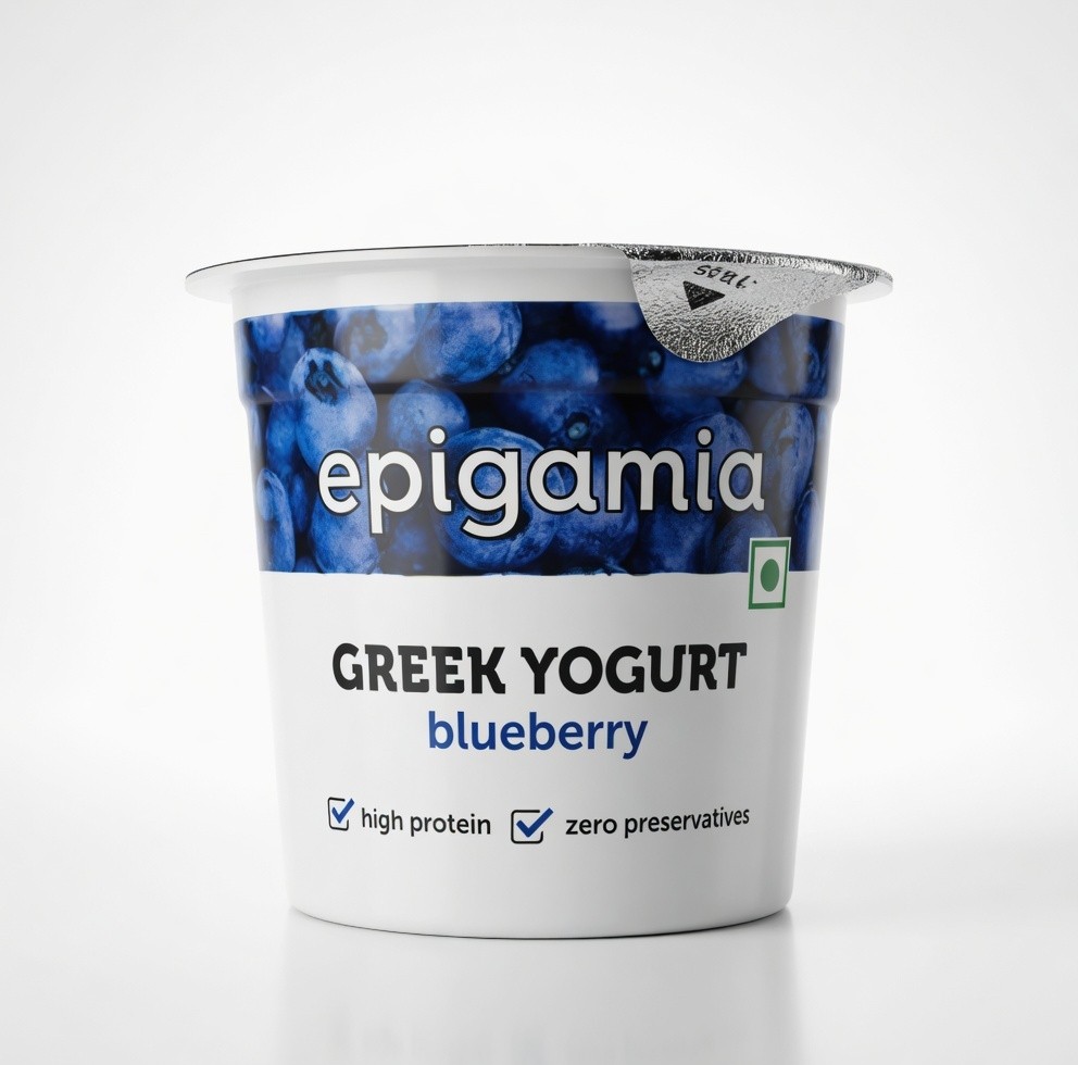 Epigamia Greek Yogurt Blueberry