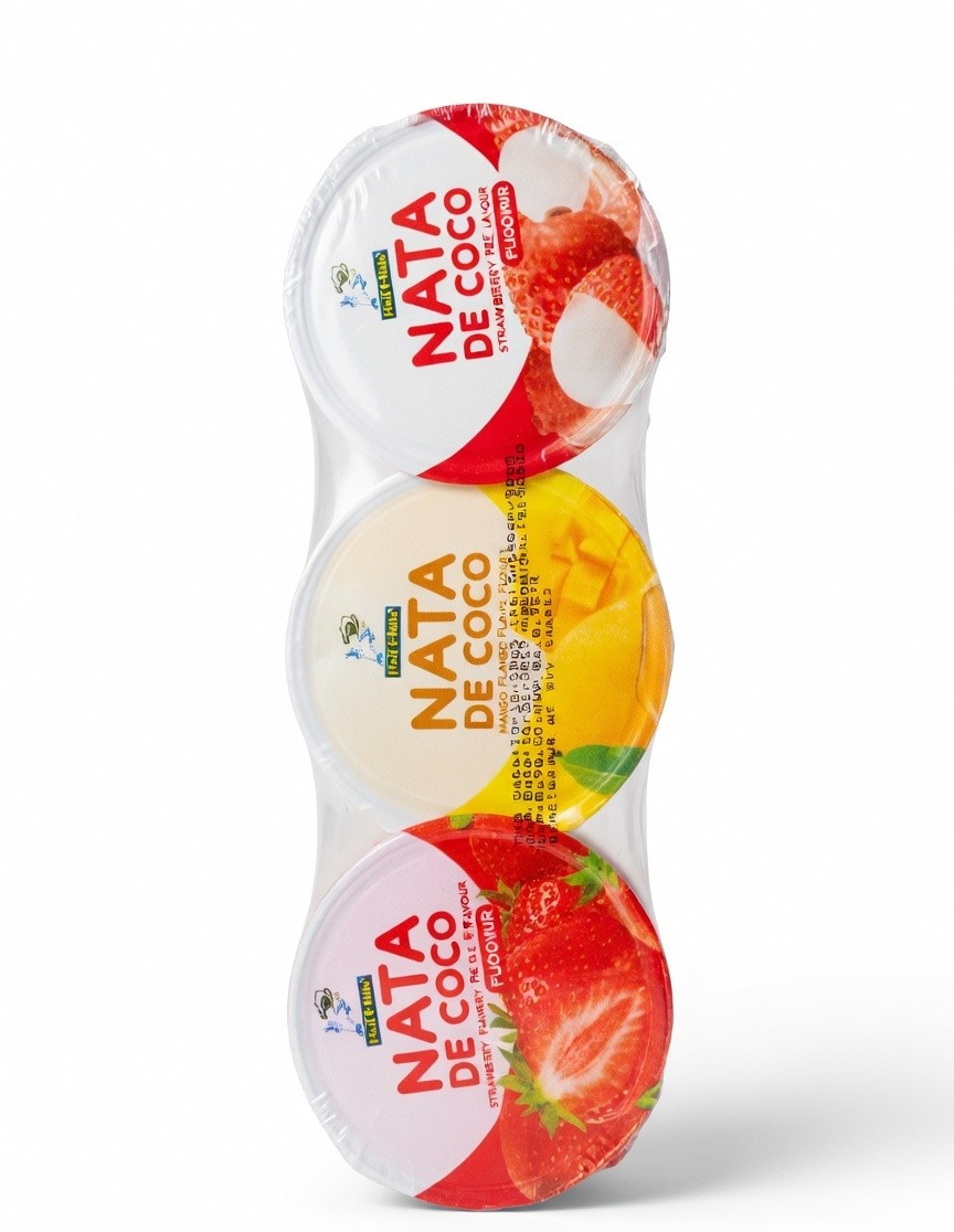NATA DE COCO 3 IN 1 PUDDING