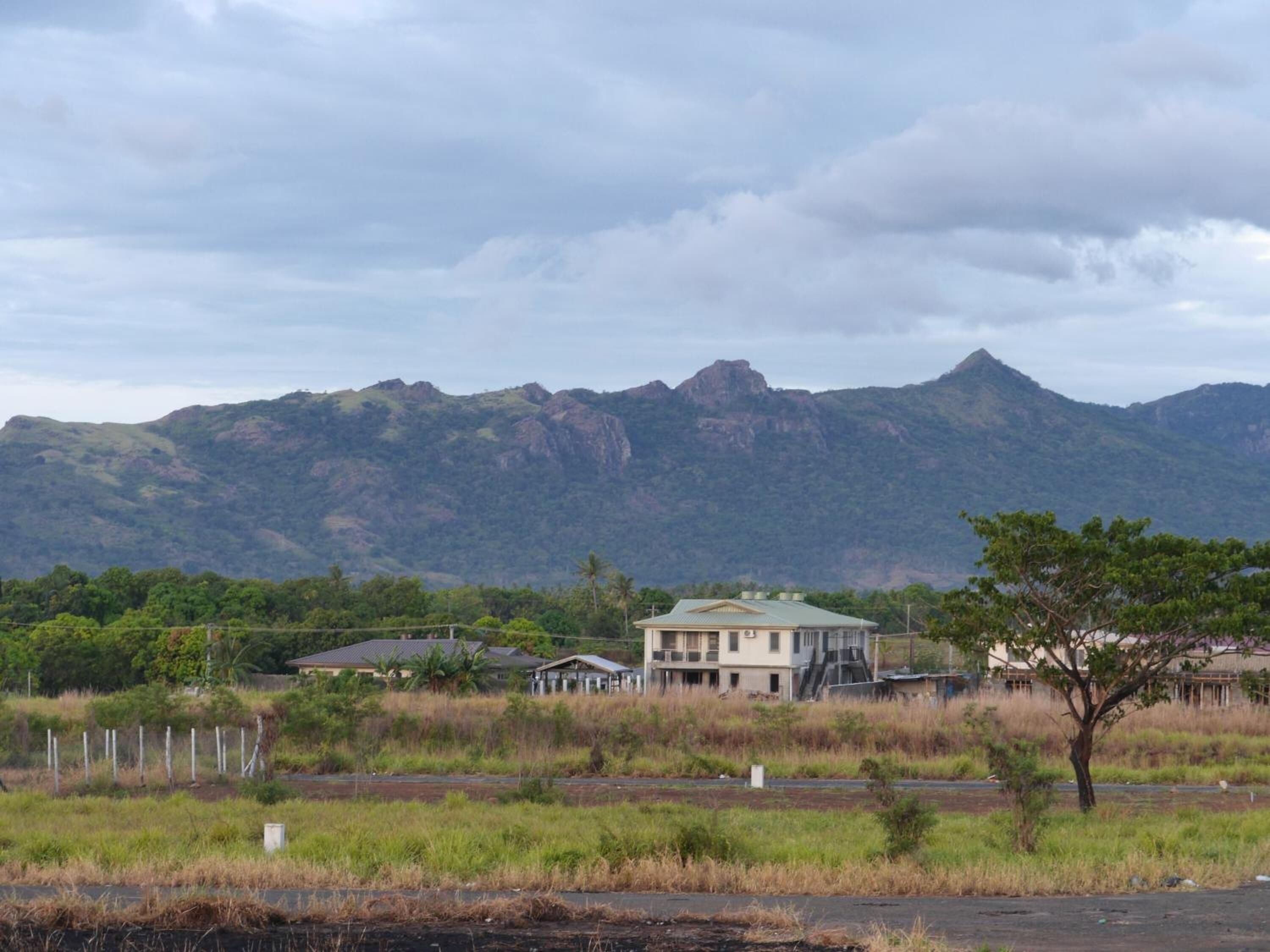 Section Image