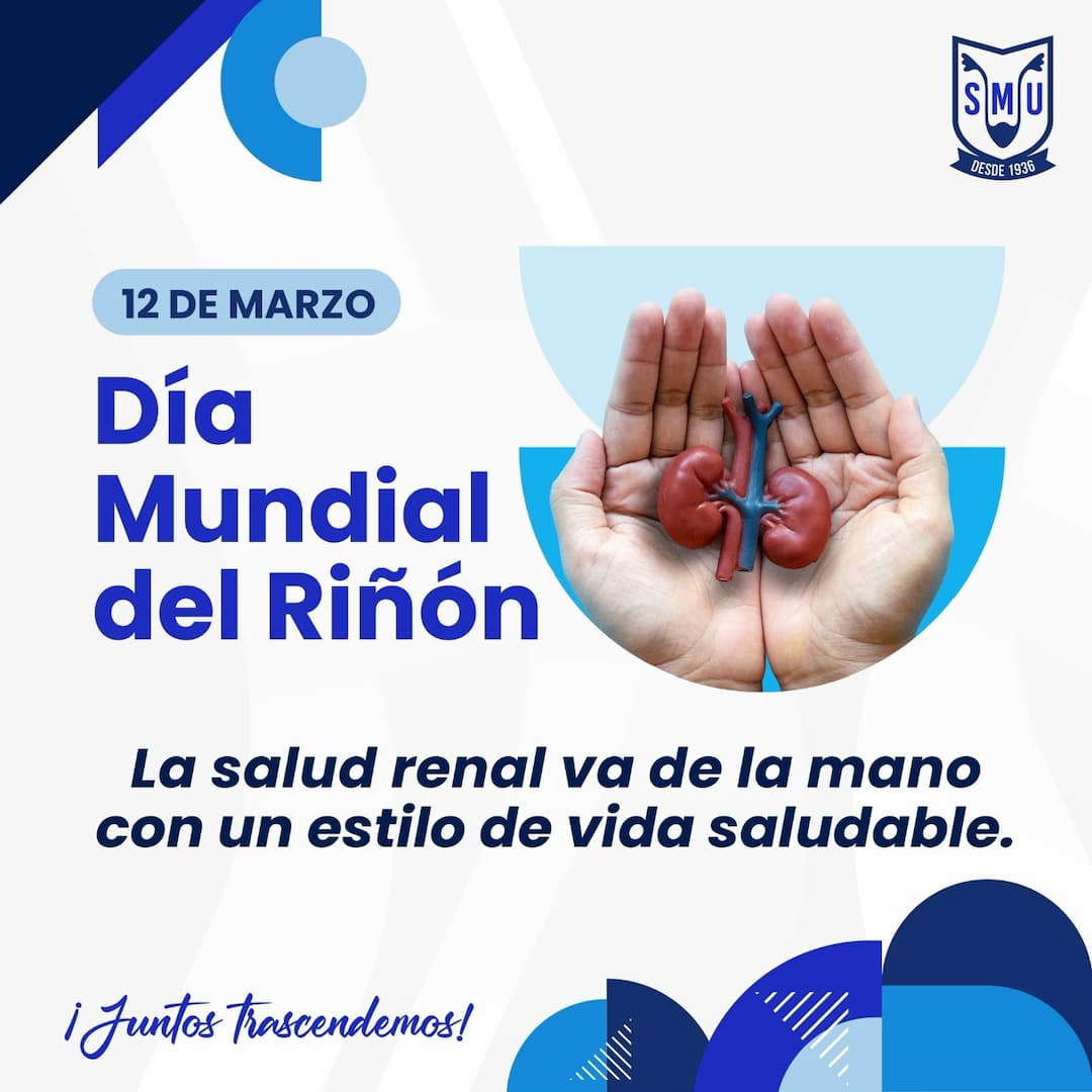 Día Mundial del Riñón