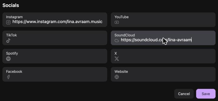 The socials section of an RSRVIN artist profile with Instagram, YouTube, TikTok, SoundCloud, Spotify, X, Facebook, and website fields