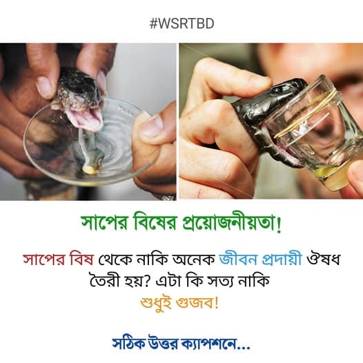 সাপের বিষ থেকে নাকি অনেক জীবন প্রদায়ী ঔষধ তৈরি হয়? এটা কি সত্য নাকি শুধুই গুজব!