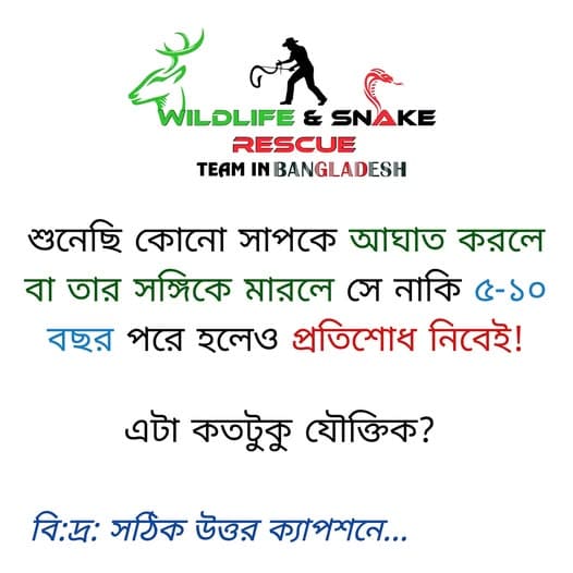 সাপ কতটা প্রতিশোধ পরায়ণ?