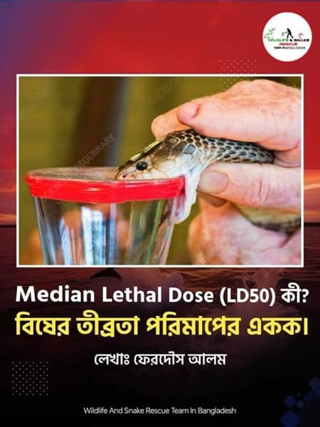 সাপের বিষের তীব্রতা কীভাবে পরিমাপ করা হয়?