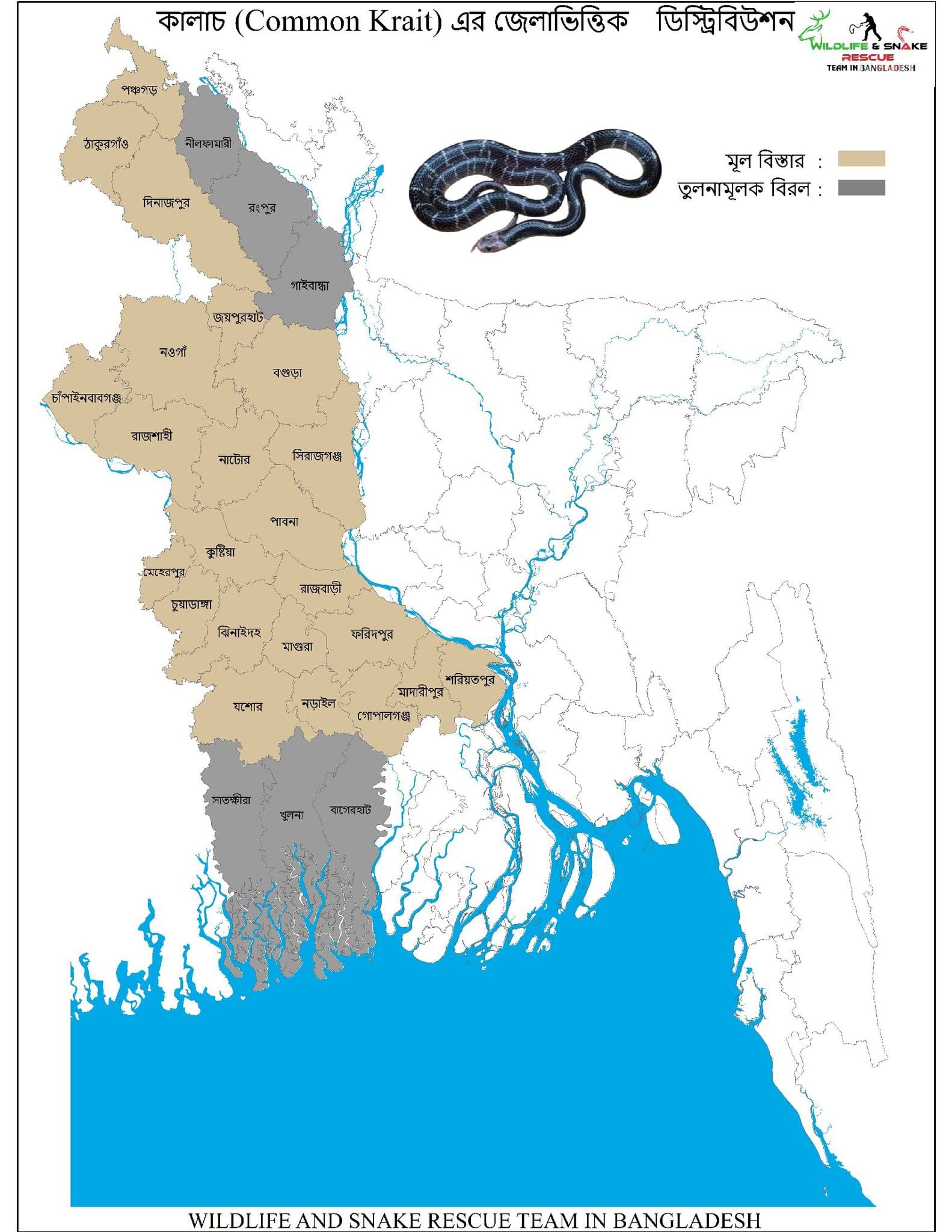 পাতি কালাচ ছবি 4