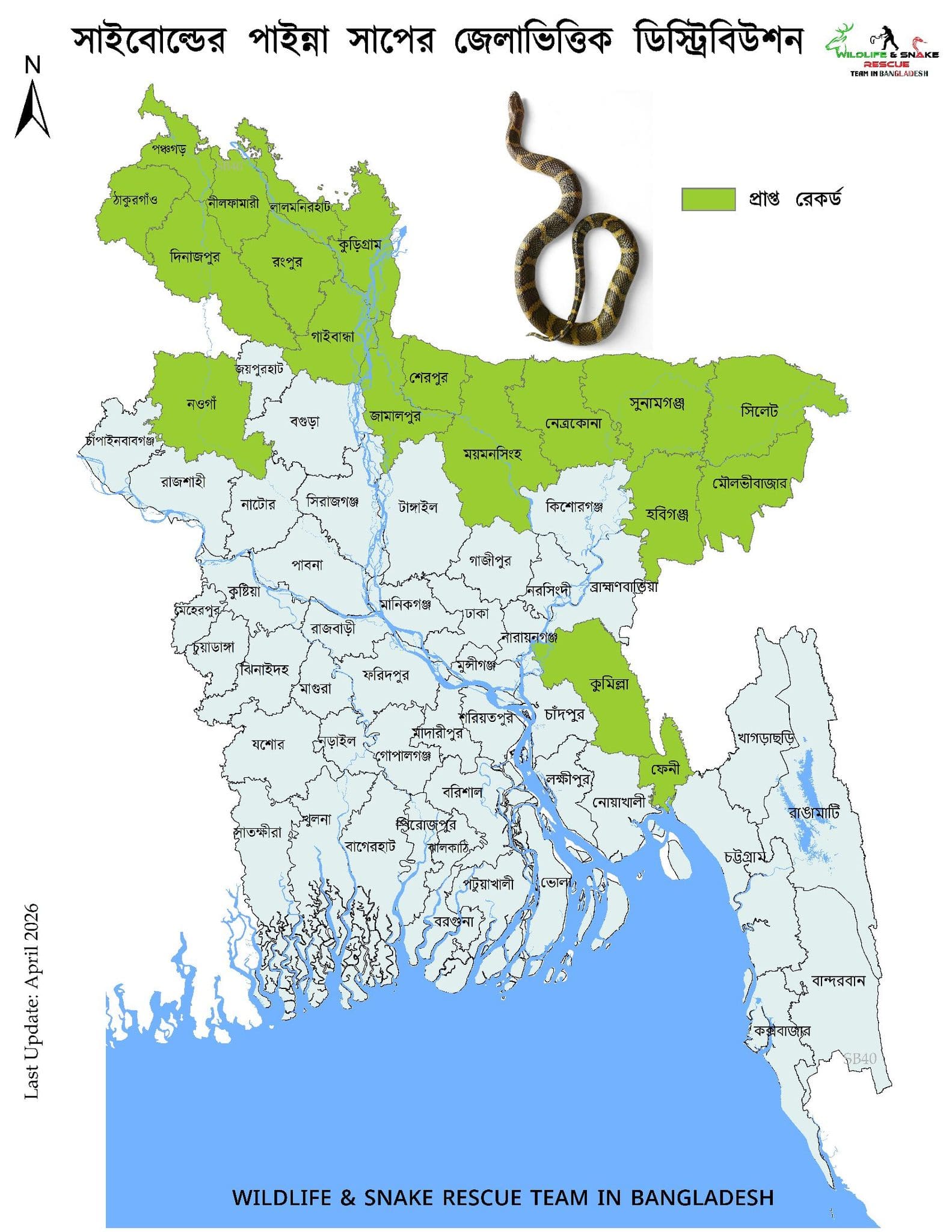 সাইবোল্ডের পাইন্যা সাপ ছবি 4