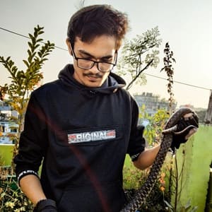 প্রীতম সুর রায়