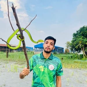 আবু হানিফা