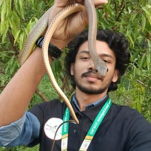 আশিকুল ইসলাম মিথুন