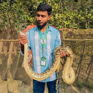 আশিকুর রহমান