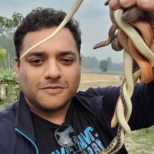 মোহাম্মদ দিদারুল আলম