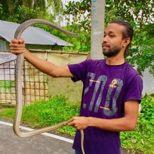 মুহাম্মদ ইসমাইল হোসাইন