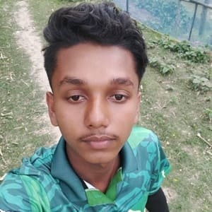 মো: জোবায়ের হোসাইন