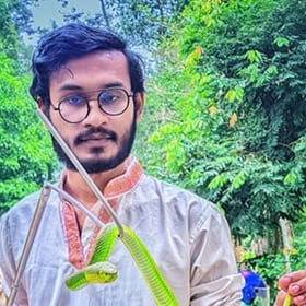 মো: মেহেদী হিমু