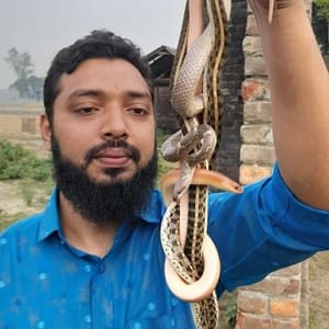 মো: মাহমুদুল হাসান