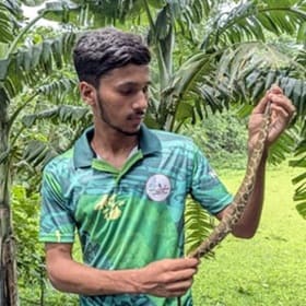 মো: মাহমুদুল হাসান সোহেল