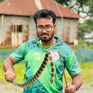 আরেফিন নাবিল