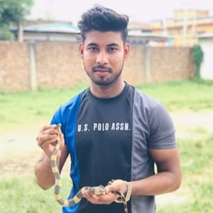 নজরুল ইসলাম