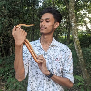 রাগিব হাসান
