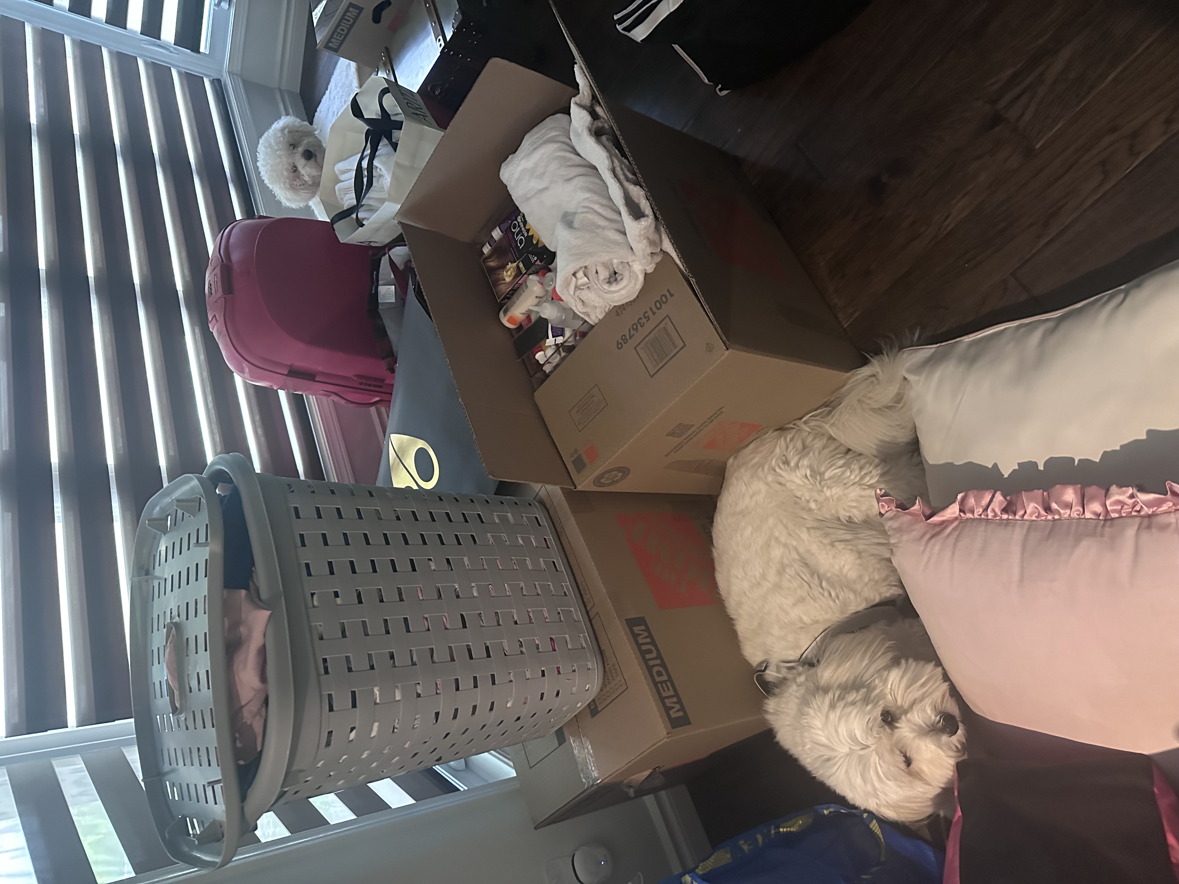 “You think she’ll see us between all these stuff???”