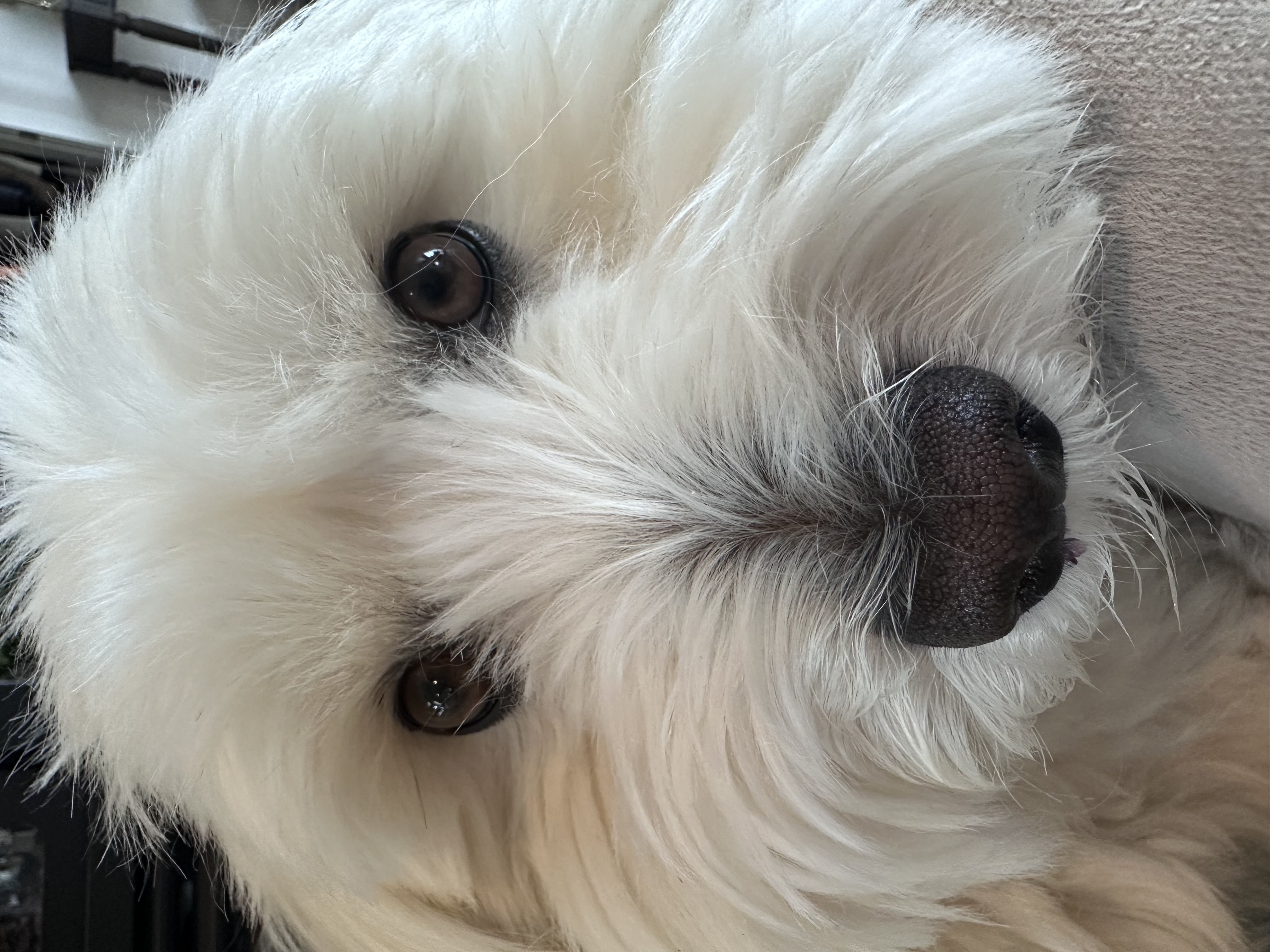 Esno is wondering why you didnt pick up the phone