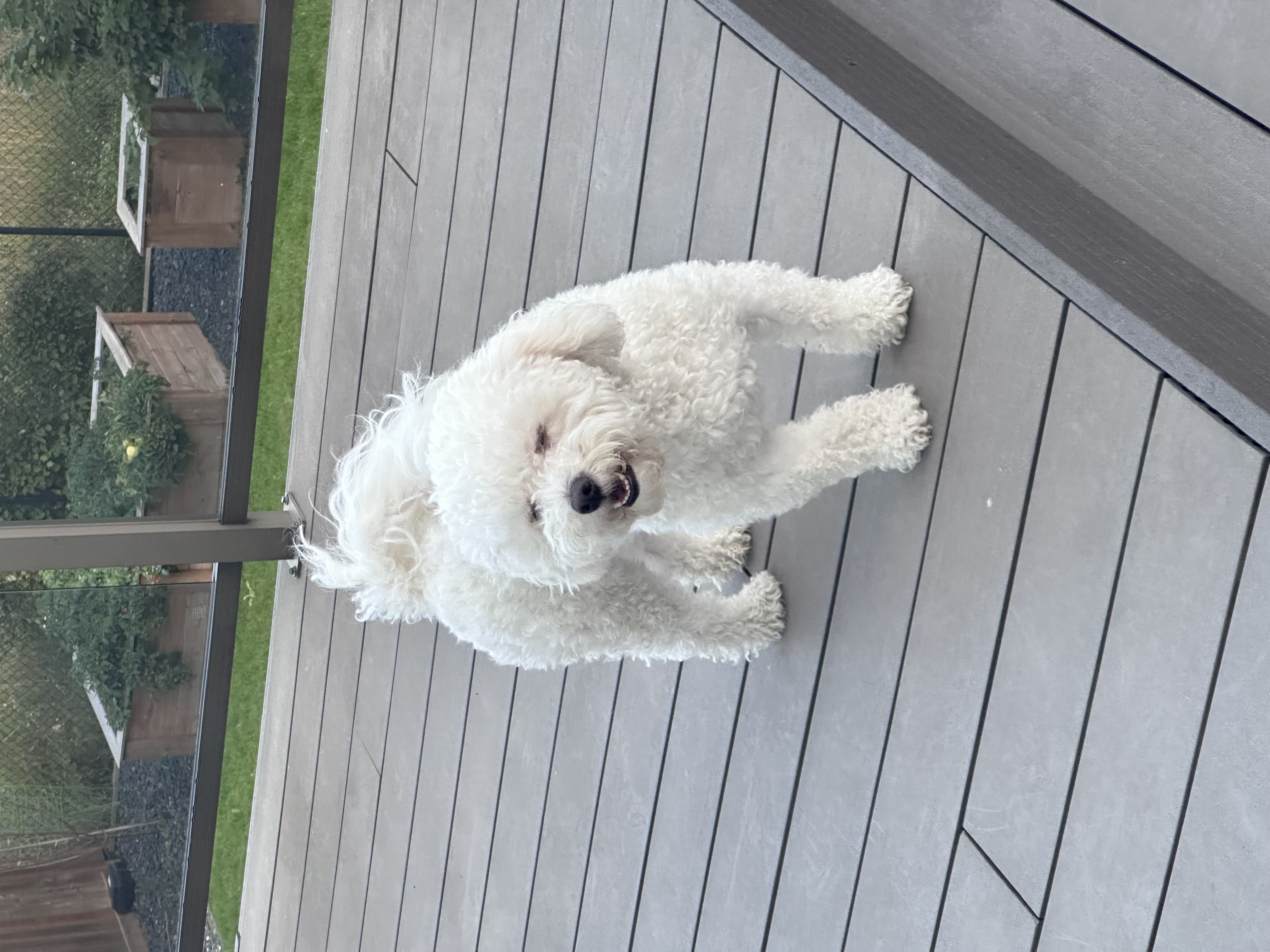 “Close your eyes now sniff” -barbie movie