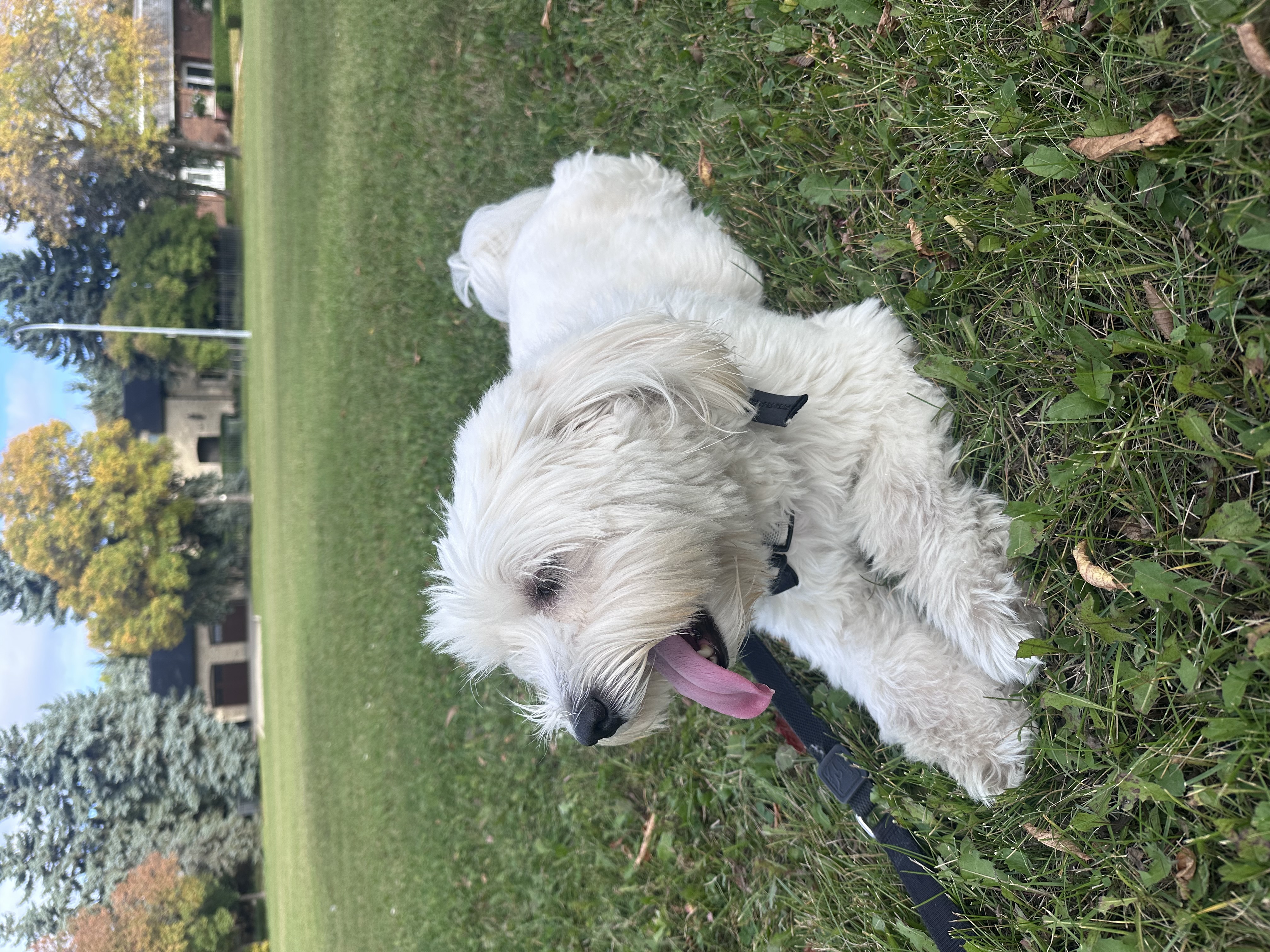 “Man that was a good walk now lets sit down for pictures”