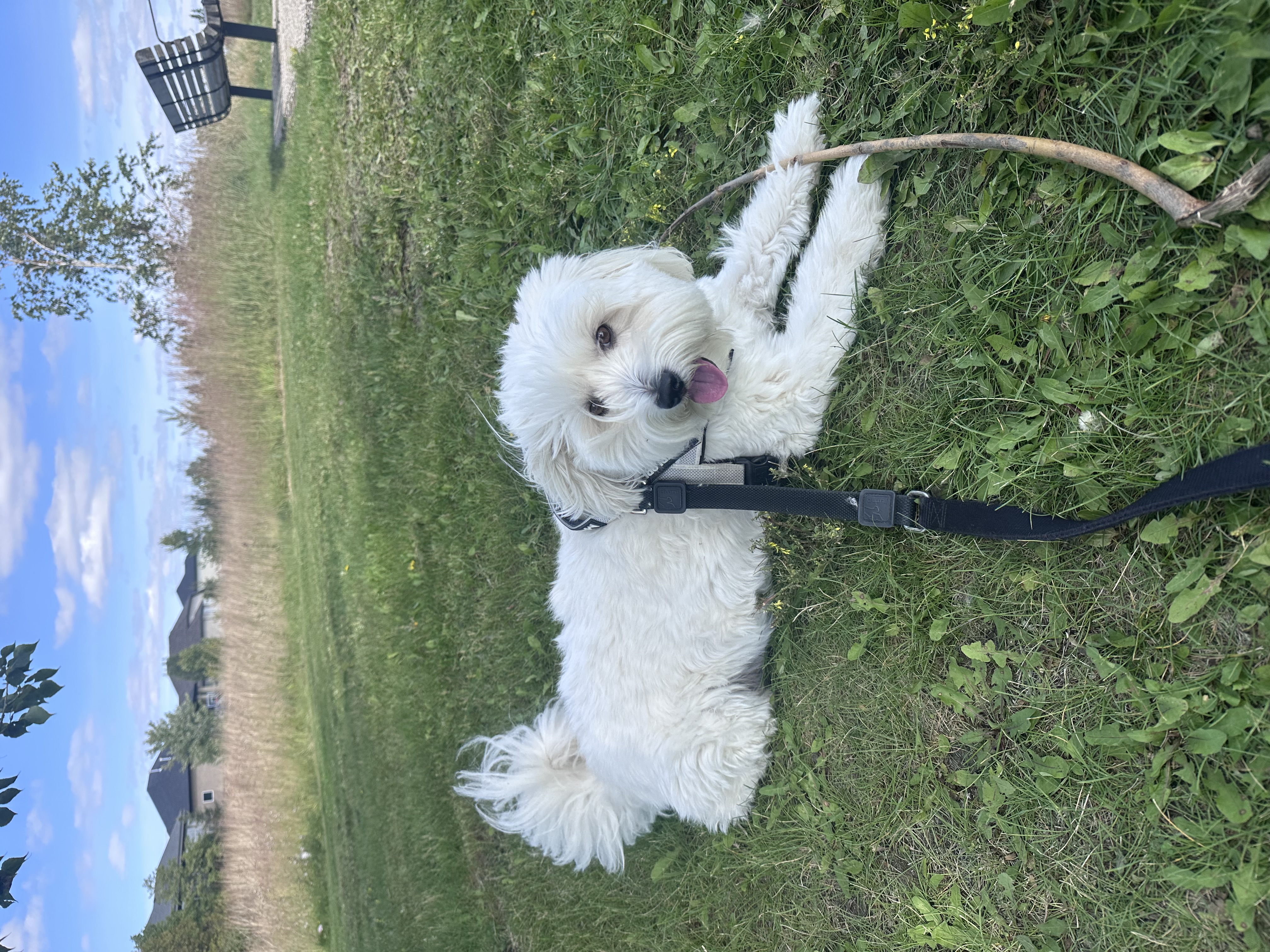 “Oh that wind is good, get my good angle”