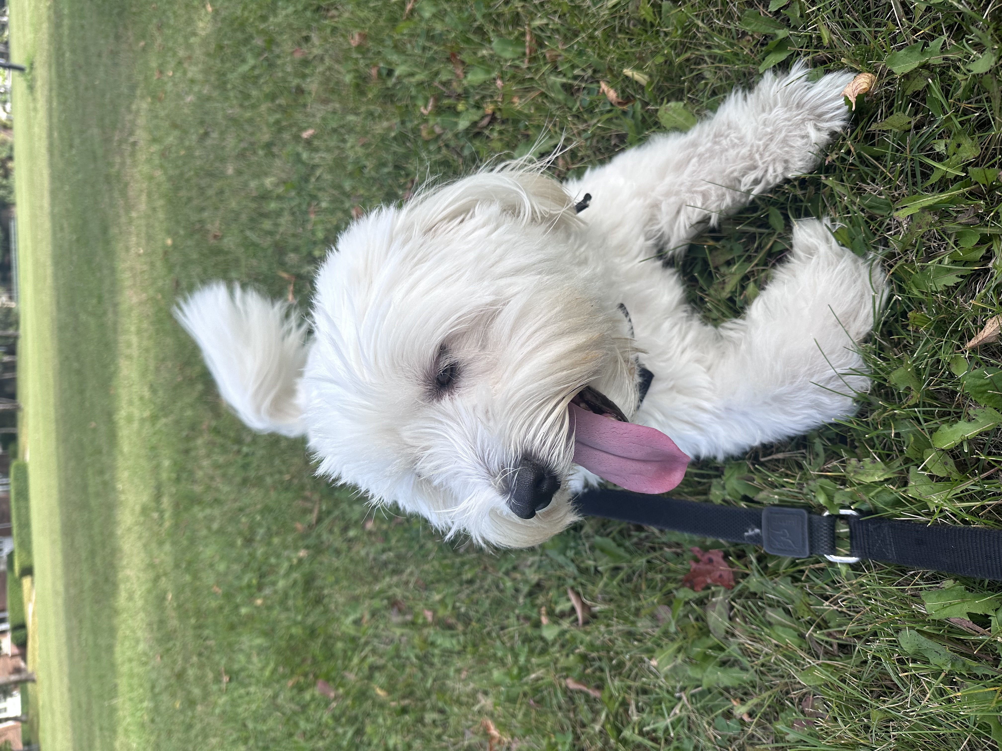 Pose#3 give her a little tail waggle