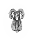 Discovery Ski Area logo