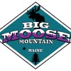 Big Moose Mountain logo