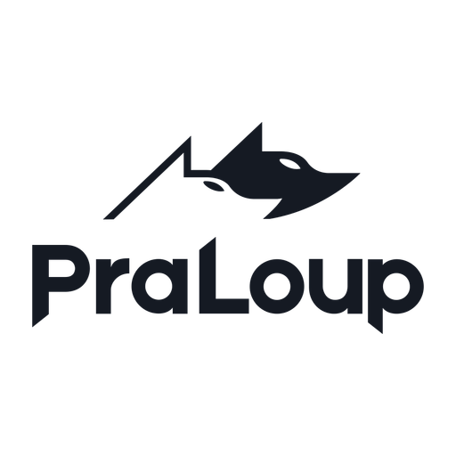 Domaine Skiable Espace Lumière logo