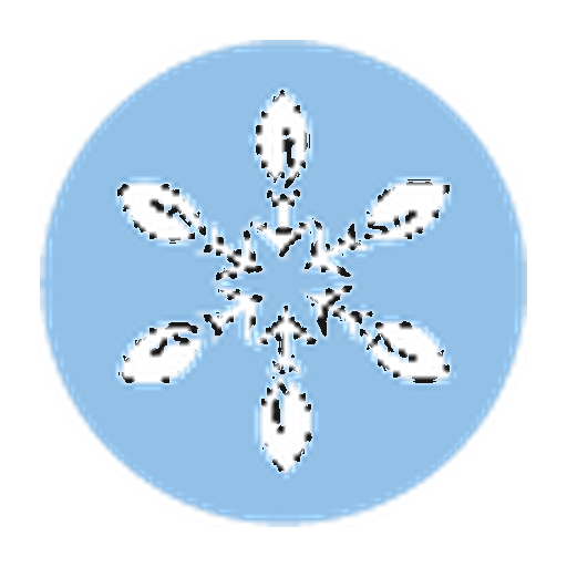 Cerro Bayo logo