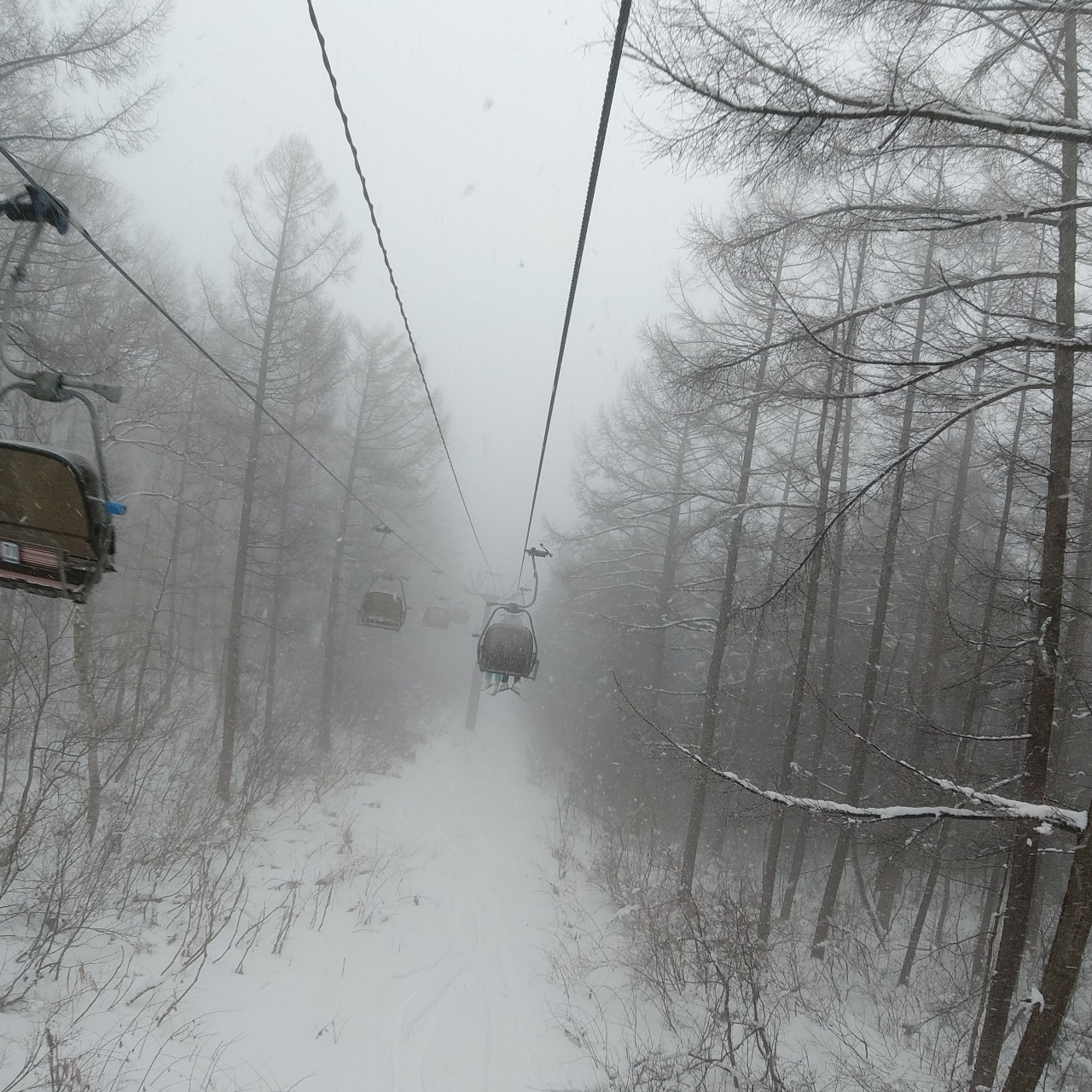 Best Gear for a Japan Snow Trip