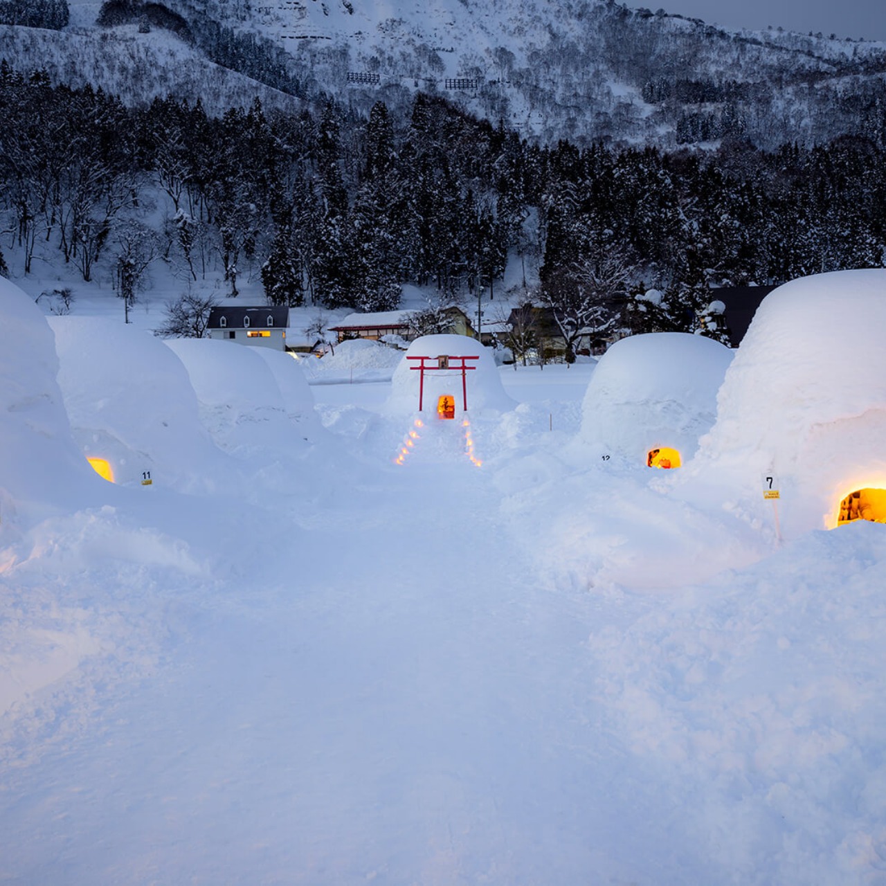 Winter Festivals in Japan for Snow Trippers