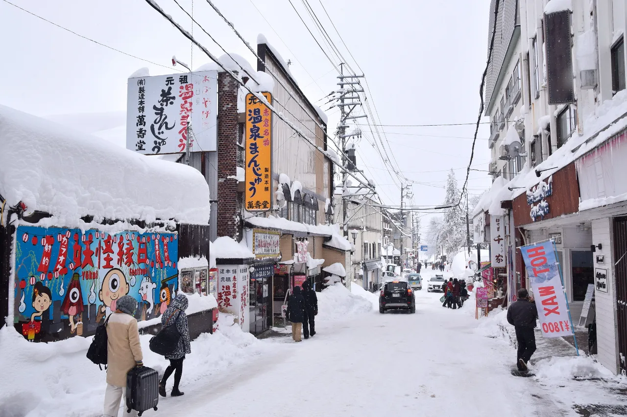 Myoko Kogen Ski &amp; Snowboard Travel Guide