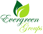 Ever Green Groups
